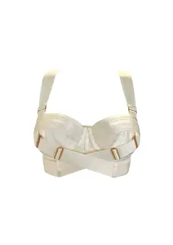 Signature Panelled Bodice Bra