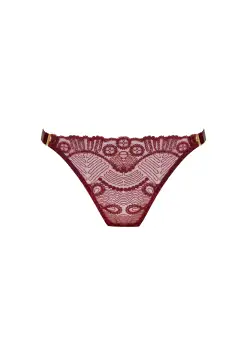 Tierra Brief