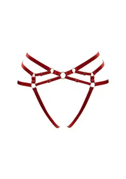 Signature Ouvert Harness Brief