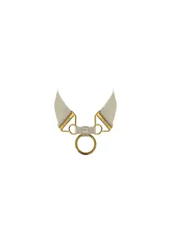 Signature Wide Strap Collar