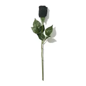 Signature Lace® Low Rise Thong Rose Black