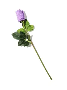 Signature Lace® Original Rise Thong Rose Electric Orchid Purple
