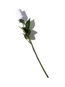 Signature Lace® Original Rise Thong Rose White